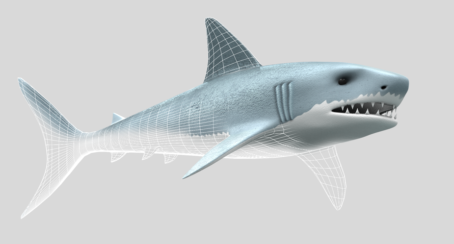 SHARK 3D RENDERING